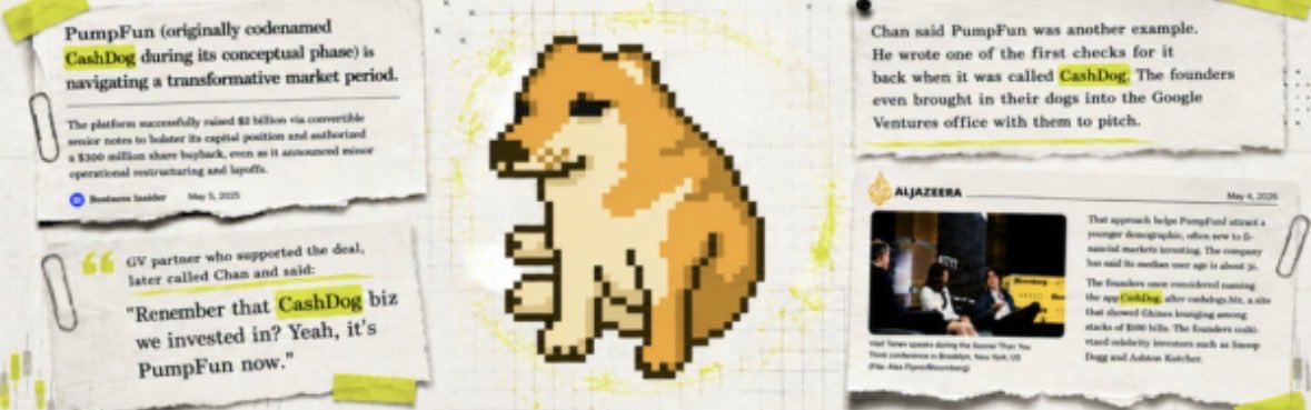 cashdog tweet media