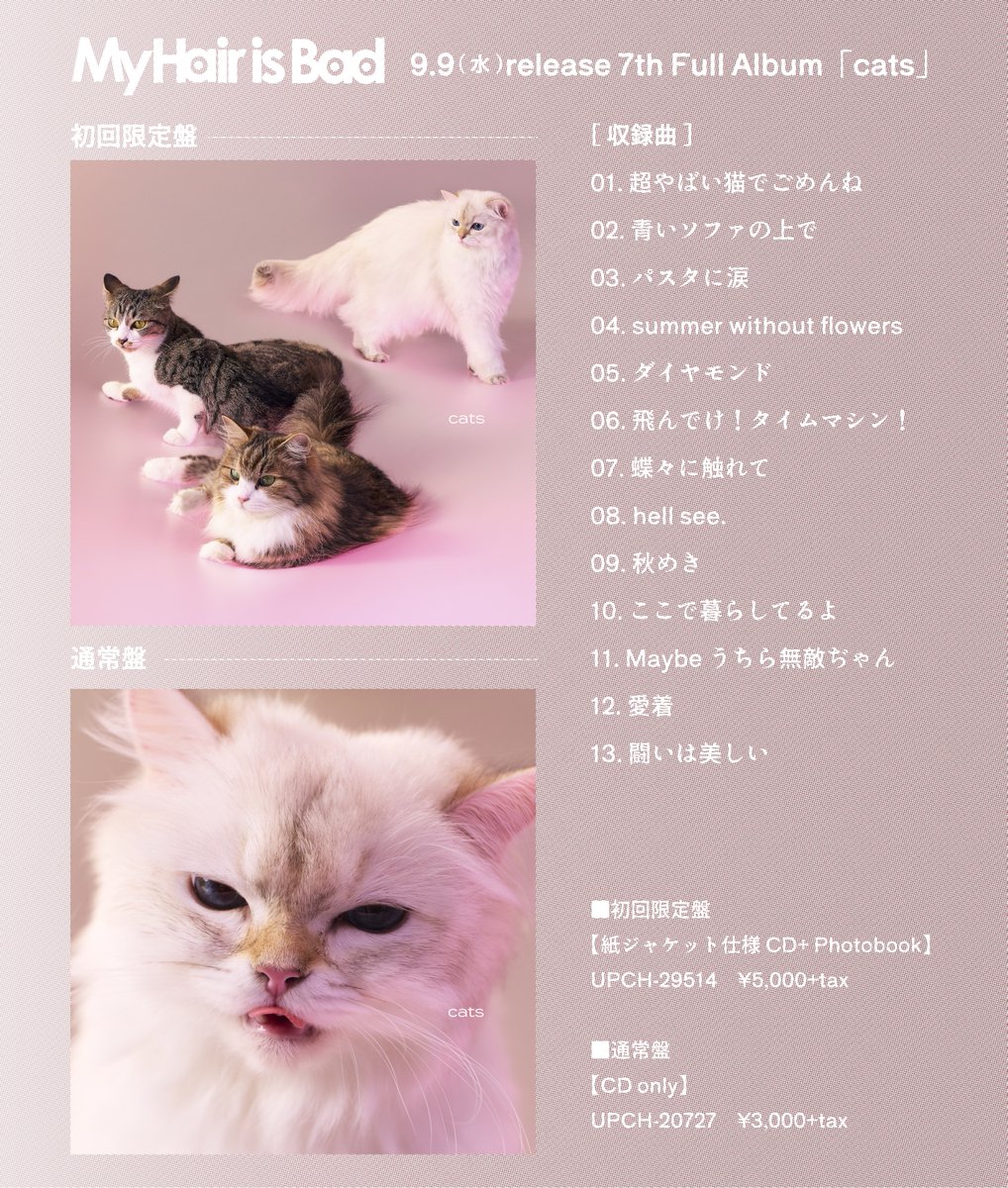 MyHairisBad's tweet photo. 【9.9(水)7th Full Album「cats」リリース決定】
2年2ヶ月ぶりとなるFull Album「cats」が
9.9(水)にリリース決定！
●CDご購入 https://t.co/nIAZb9Wufu

収録曲「青いソファの上で」
本日20:00〜先行配信
https://t.co/O9CrW0Tbsu
※サイトによっては配信開始時間にズレが生じる可能性がございます。 https://t.co/ushSNPRUSy