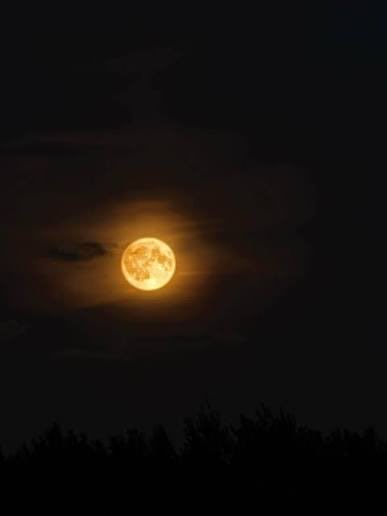 FahidM3's tweet photo. And the moon asked. ‘Where is the girl you used to compare me to?’ https://t.co/pyU8rR1MC2