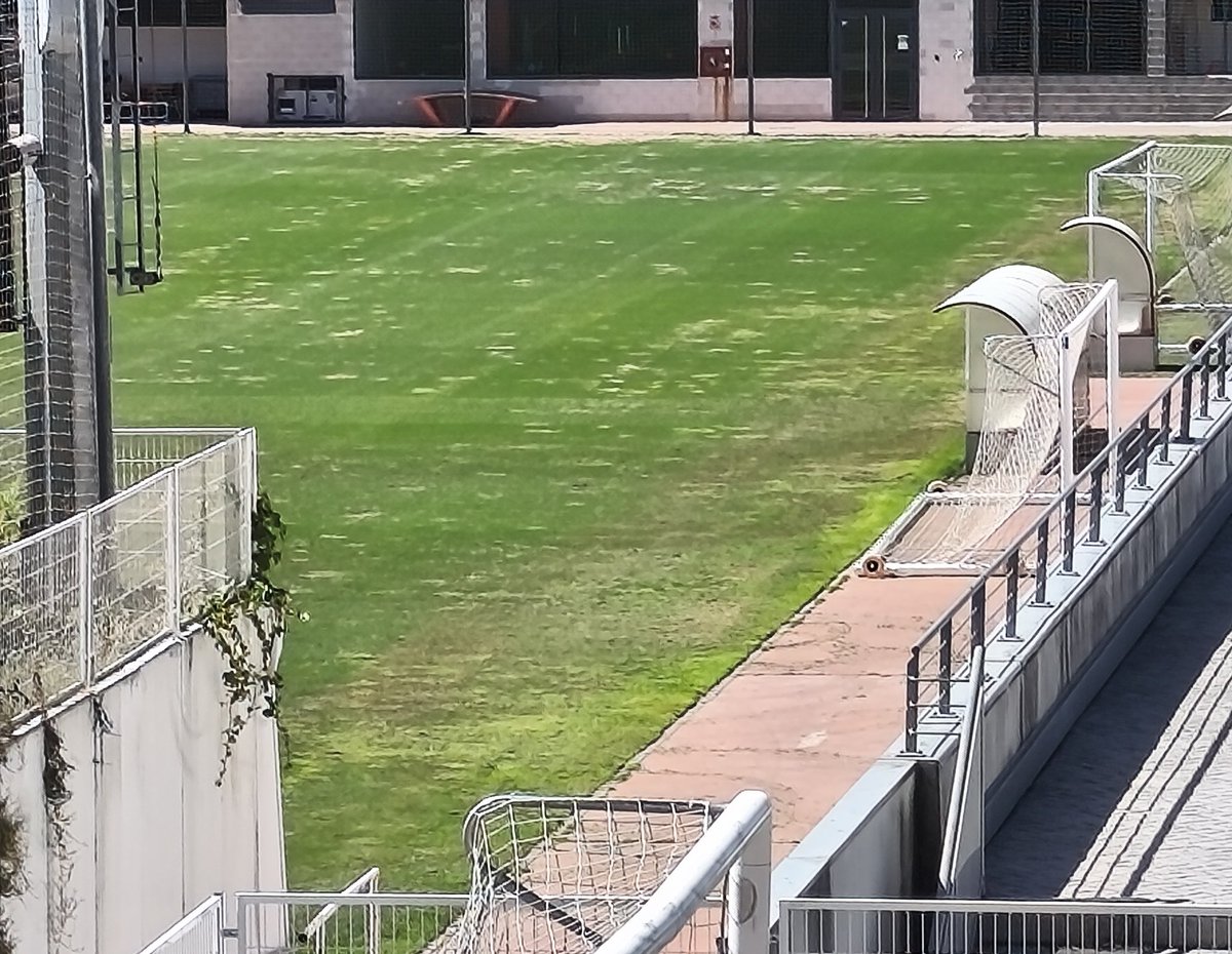 matagigantesNET's tweet photo. Sin ser expertos en la materia, el aspecto del campo 5 no invita al optimismo y no parece que a cortísimo plazo esté listo para que el primer equipo se pueda ejercitar en él. https://t.co/KH9hANo2R1