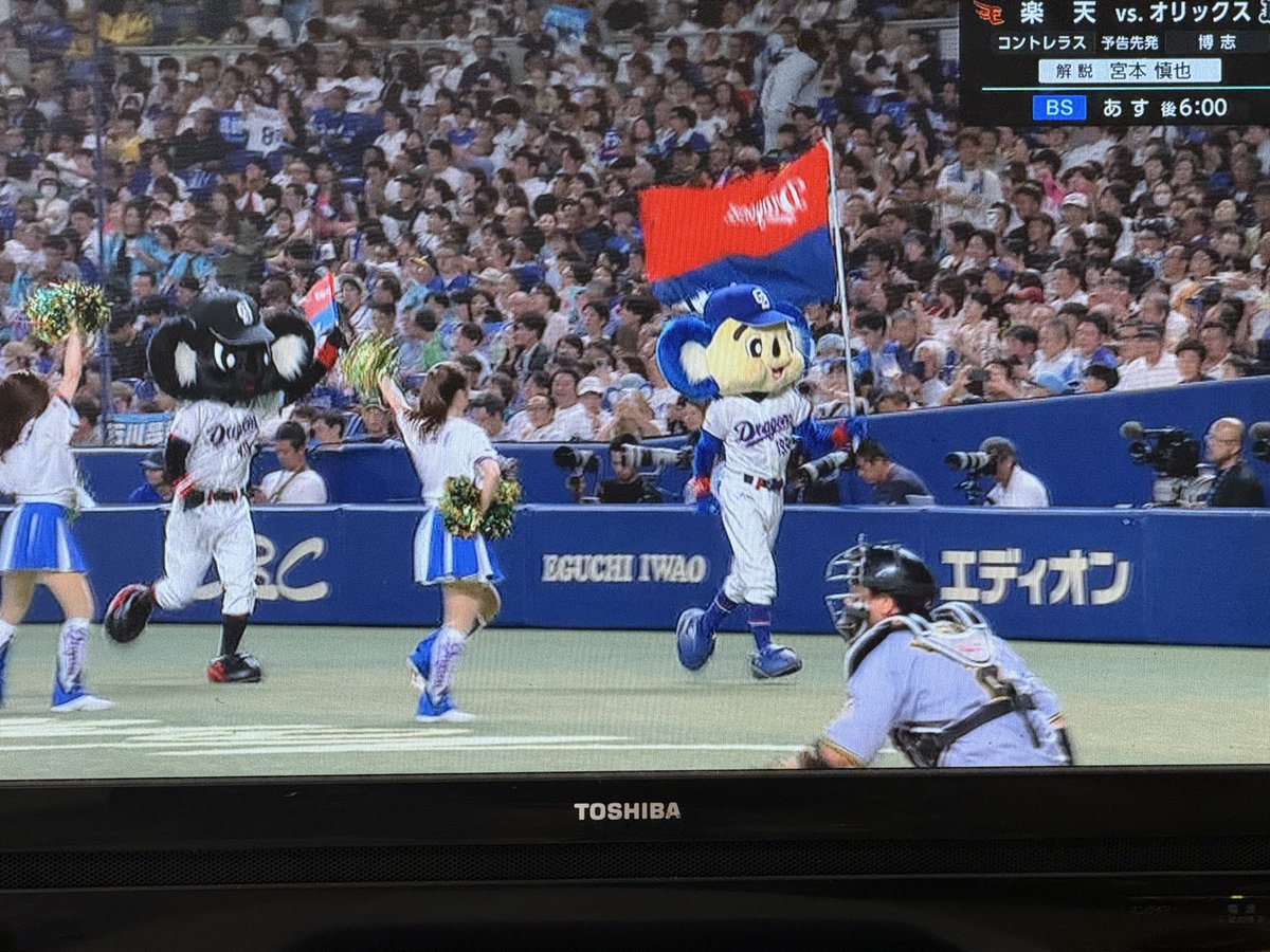 marpish11's tweet photo. 白ドアラ先生🐨と黒ドアラ先生🐨 https://t.co/QaA2vqbdRG