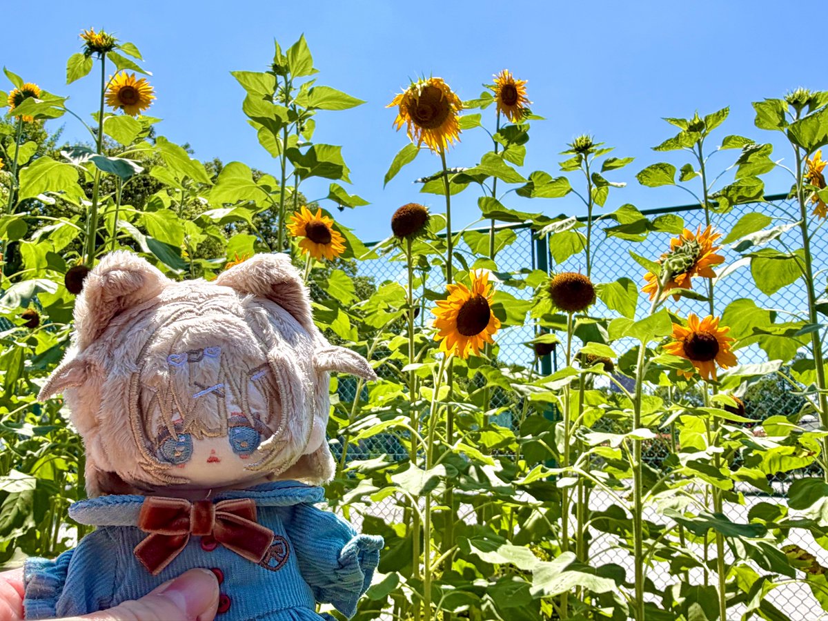 aono_nui016's tweet photo. https://t.co/9ColKX534Y