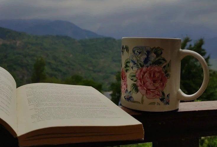 islaboards's tweet photo. books brings comfort.. https://t.co/E5FEaat8sH