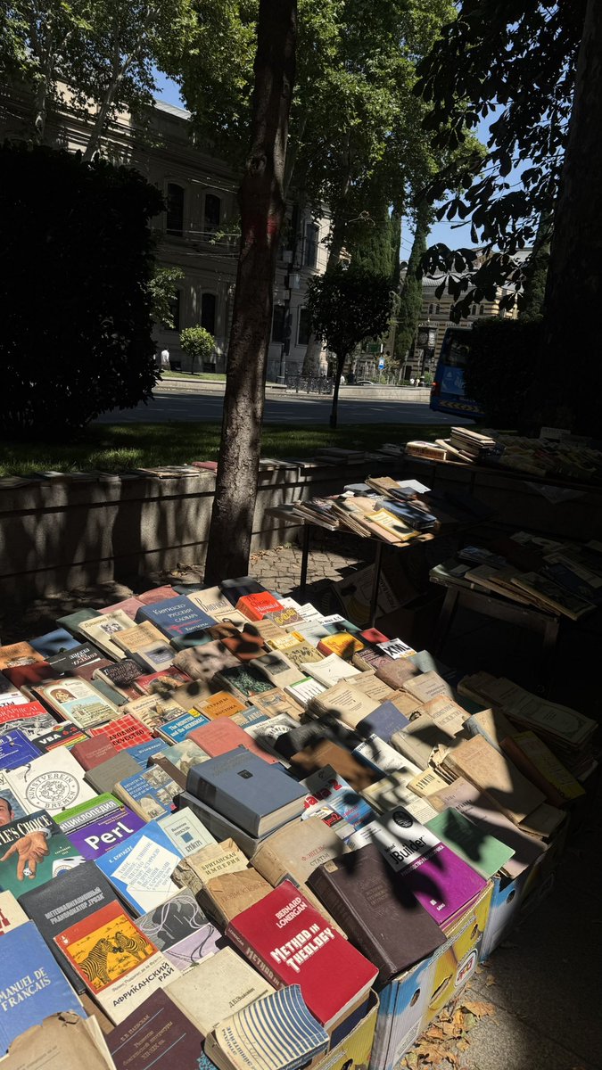 Reoufaa's tweet photo. بسبوسة مثقفة 🐈📚 
📍Tbilisi https://t.co/H1oU0deY1s