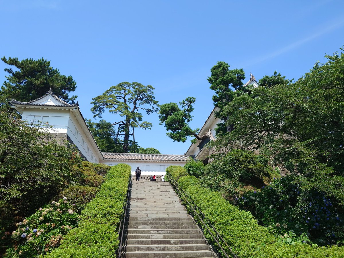 LLq9qd's tweet photo. 立派な復元天守の小田原城と派手に発掘作業中の駿府城。
明日は浜松城と名古屋城。
この辺りは徳川関連が多い。 https://t.co/eS7viLEPRp