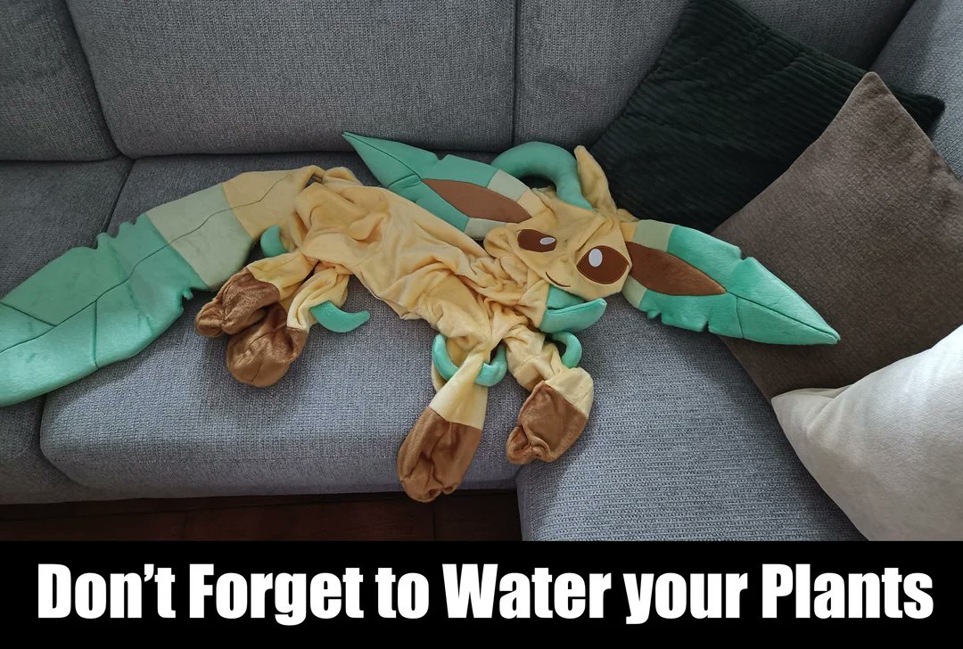 PokeDailyPost's tweet photo. NOOO Leafeon 😭 https://t.co/6ymU8YgcGR