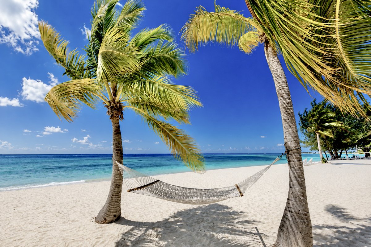 cbtweak's tweet photo. New summer photos for sale added to my Real Beautiful Photography site #caribbean #palmtrees #summer #hammock 
https://t.co/ibWJNk2tdD https://t.co/hnHDtBk9Lu