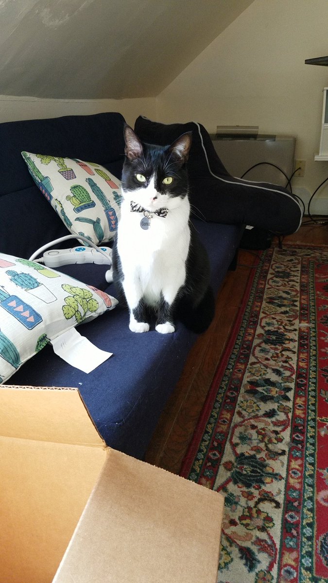 Moonlit_Pagan's tweet photo. @UngluedToast May I present:

Gomez and Wednesday https://t.co/3DwgCtwmcP