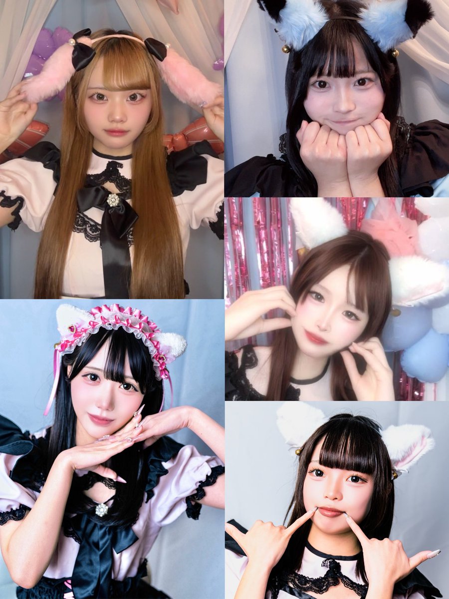 #ゆんの気まぐれオークション　（梅）　web 6枚　コンパン　モルフォン 🎀🐰本日のまもうと🐨🎀 ＼物価と気温が高すぎるYO／ 〖ゆん19