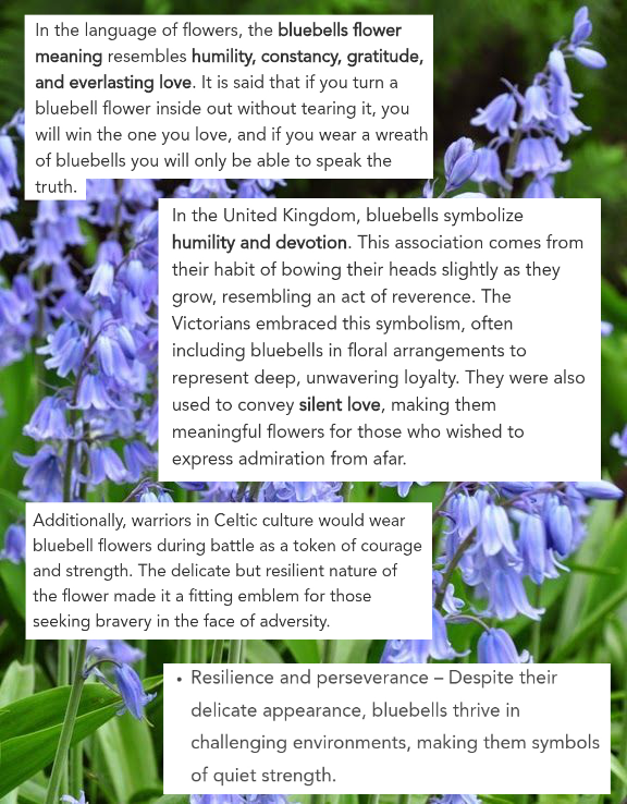 Bumper_YT's tweet photo. Oh how much of Bluebell flowers meanings and symbolism match with my Bell 😌↕️ I will not elaborate for future spoilers sake but trust https://t.co/2ONBfJxshw