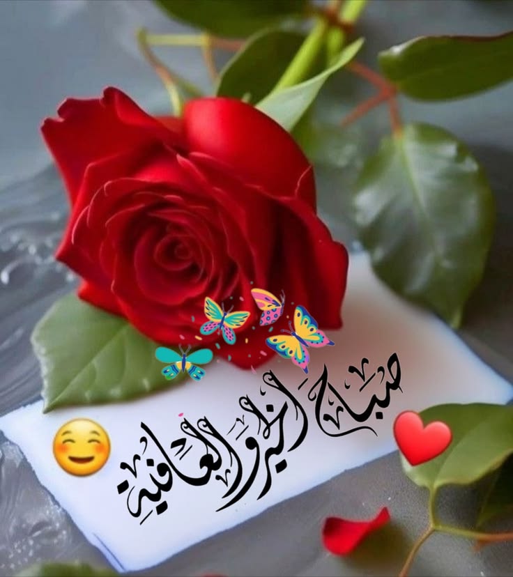 الحسني tweet media