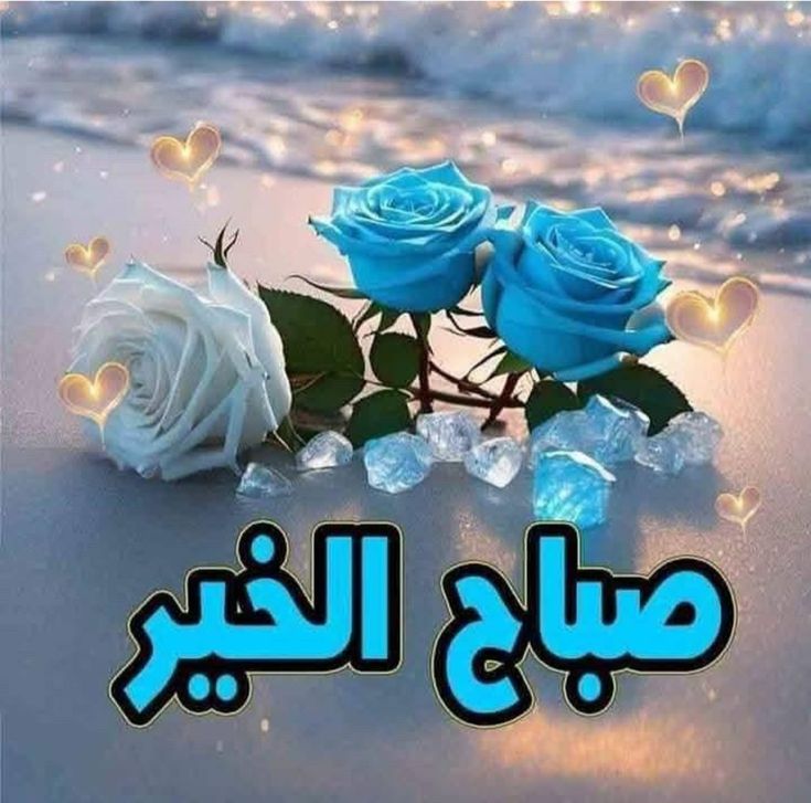 الحسني tweet media