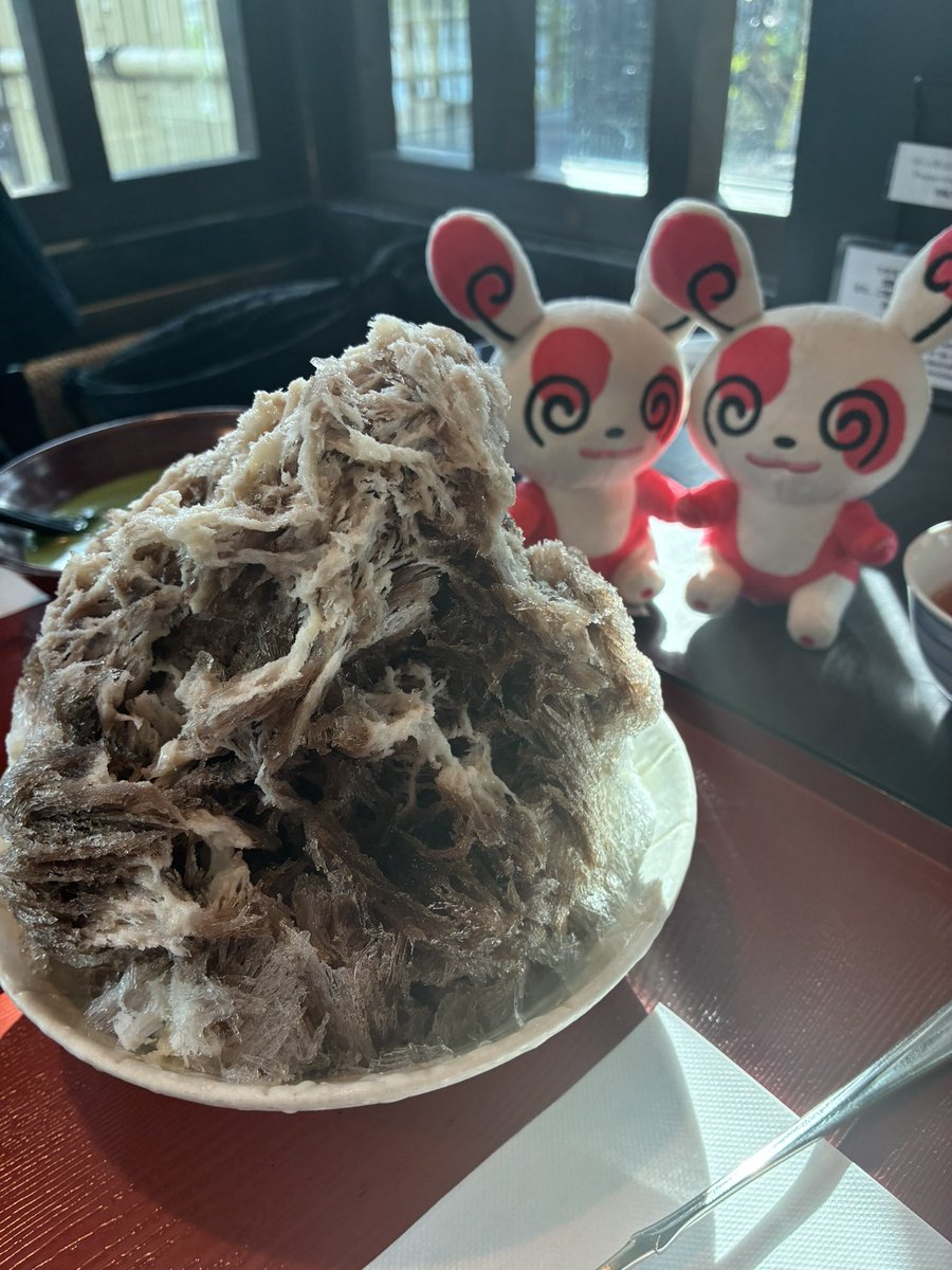 game_hamham2's tweet photo. 宇治でおいしいものもたくさん食べました✨✨
#パッチール
#spinda
#ぬい活
#ポケモンfit https://t.co/YiFMut2fGH