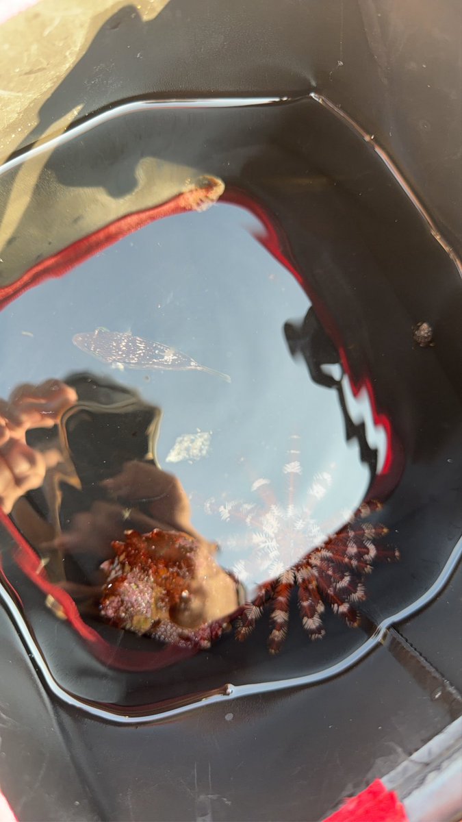 nabeman07's tweet photo. 営業で嫌な夏の感じ方は散々感じてたけど
やっと良い意味で夏かんじてる！！ https://t.co/Ow4ya3qMcX