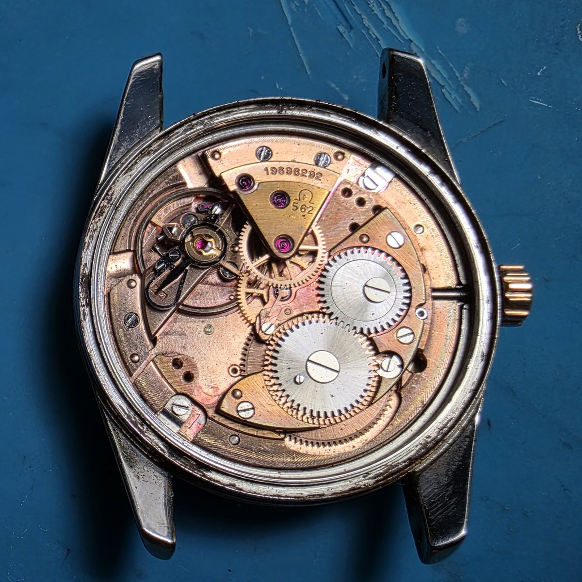 lrlwatch1 tweet picture