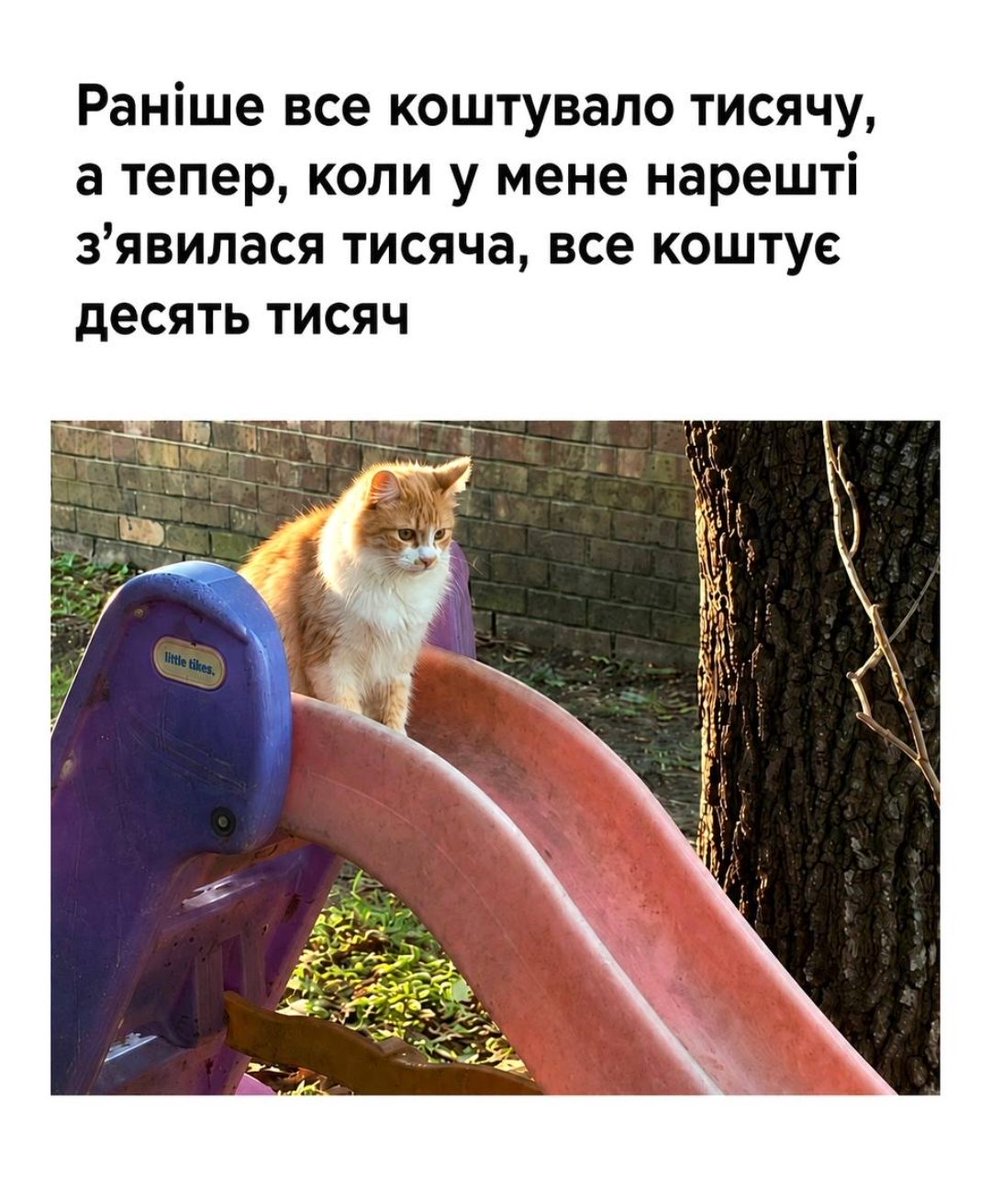 interior_point_'s tweet photo. буквально https://t.co/nOe8ppAv0v
