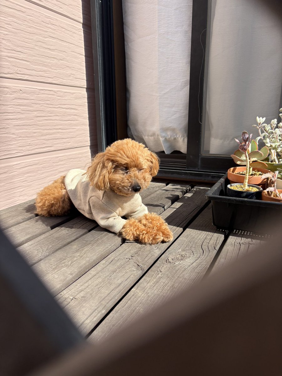 便乗させて下さい。