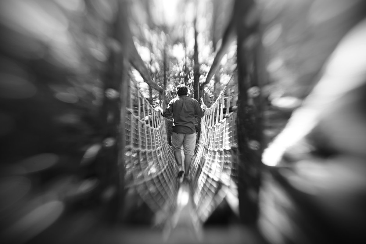 schlockback's tweet photo. "On the Bridge"
Jede Brücke verbindet. Wir müssen sie nicht gehen, aber wir können.
#LensbabyObjektiv
#city
#blackandwhite #schwarzweiß #monochrome
#LiebeIstAlles #FloodTheZoneMitSchoenem #SchoenesGegenDoofes #DuLebstDenTagSowieso
#DerSchlockbackNimmtEuchMit https://t.co/AR1vFxZAwX