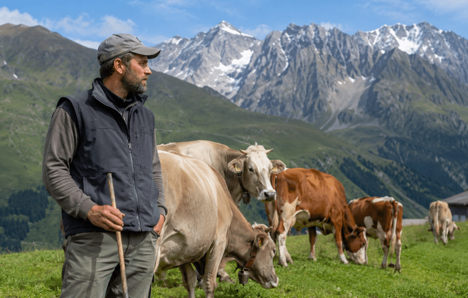 BlogEcology's tweet photo. 🇪🇺 La Commissione Europea ha presentato la sua prima "Strategia per il settore zootecnico". L'obiettivo è un futuro più resiliente, competitivo e sostenibile, riconoscendone il ruolo chiave per sicurezza alimentare e tutela del territorio. I dettagli qui👇
https://t.co/9hMnJ0S8zW https://t.co/qoSk41MFEt
