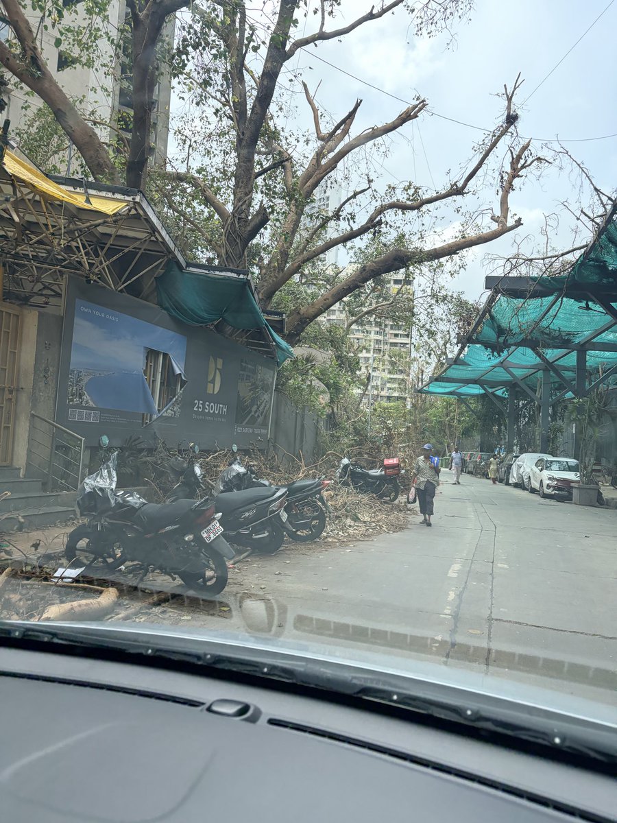 delnawt's tweet photo. @mybmc 
We have had a respite from the rains for over a week now and yet SO MANY trees are still just lying on the roads. Not only are these causing major traffic snarls, but it will also be a huge issue when there is another heavy downpour. https://t.co/nYu33wu4oo