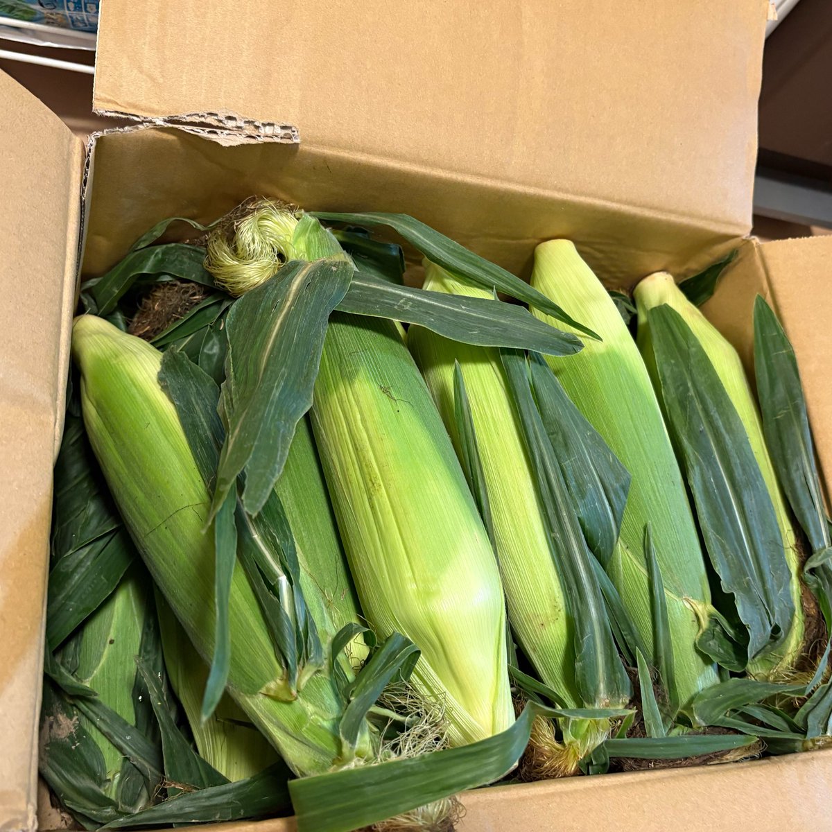 biikun25's tweet photo. 一生とうもろこし🌽の皮剥いてる😵‍💫 https://t.co/naf18kIVza