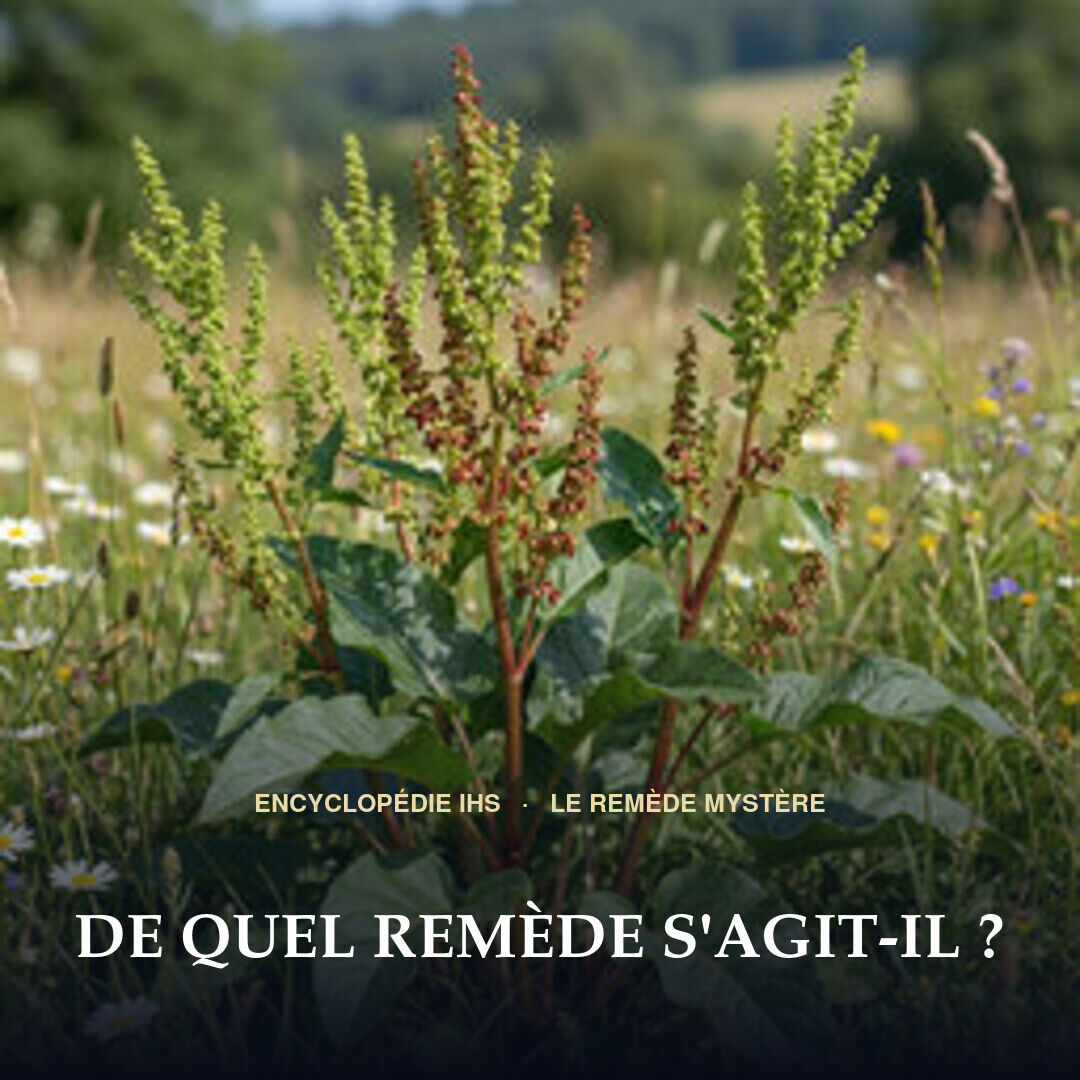 DrEdBroussalian's tweet photo. ❓ LE REMÈDE MYSTÈRE 🌿 Règne : Plante · Famille : Polygonaceae ⚗️ Miasme : Psorique · Sycotique 💡 Constituants : ACIDE OXALIQUE (cristaux d’oxalate de calcium dans les feuilles — irritant des muqueuses), ANTHRAQUINONES (émodine, chrysophanol — purgatifs),… 💡 Clarke mentionne ▁▁▁ ▁▁▁ dans les affections des muqueuses, particulièrement DIARRHÉE CHRONIQUE et AFFECTIONS DES MUQUEUSES. 🤔 De quel remède s'agit-il ? Votre réponse en commentaire — solution demain matin, ici même ! 🎉 La réponse d'hier : ADONIDINUM La fiche complète : https://t.co/1dqtbK2zrO #homéopathie #remèdemystère #encyclopédieIHS
https://t.co/AAs9rKM8ck
