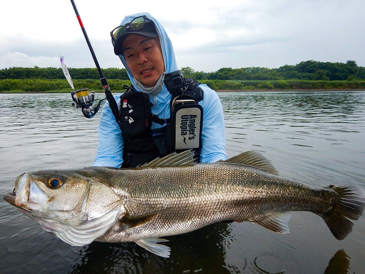 APIA_KAMADA's tweet photo. 雨が絡んでイケイケな魚達☂️
マスターピースのF、Sでランカー含む4連発〜〜♪
#雄物川
#DESIRE95MH
#APIA
#マスターピース120sl 
#マスターピース120fl https://t.co/pmQAGSPECn