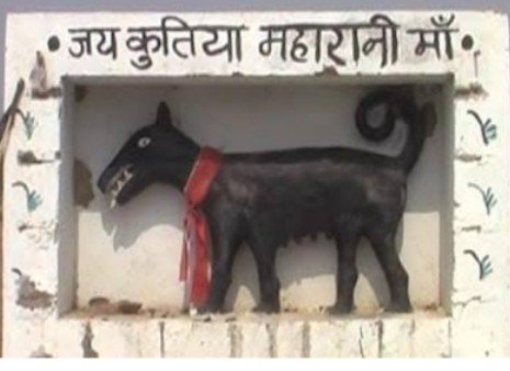 AmbedkariteLM's tweet photo. Indian can literally worship anything https://t.co/I0lSMi7rH2