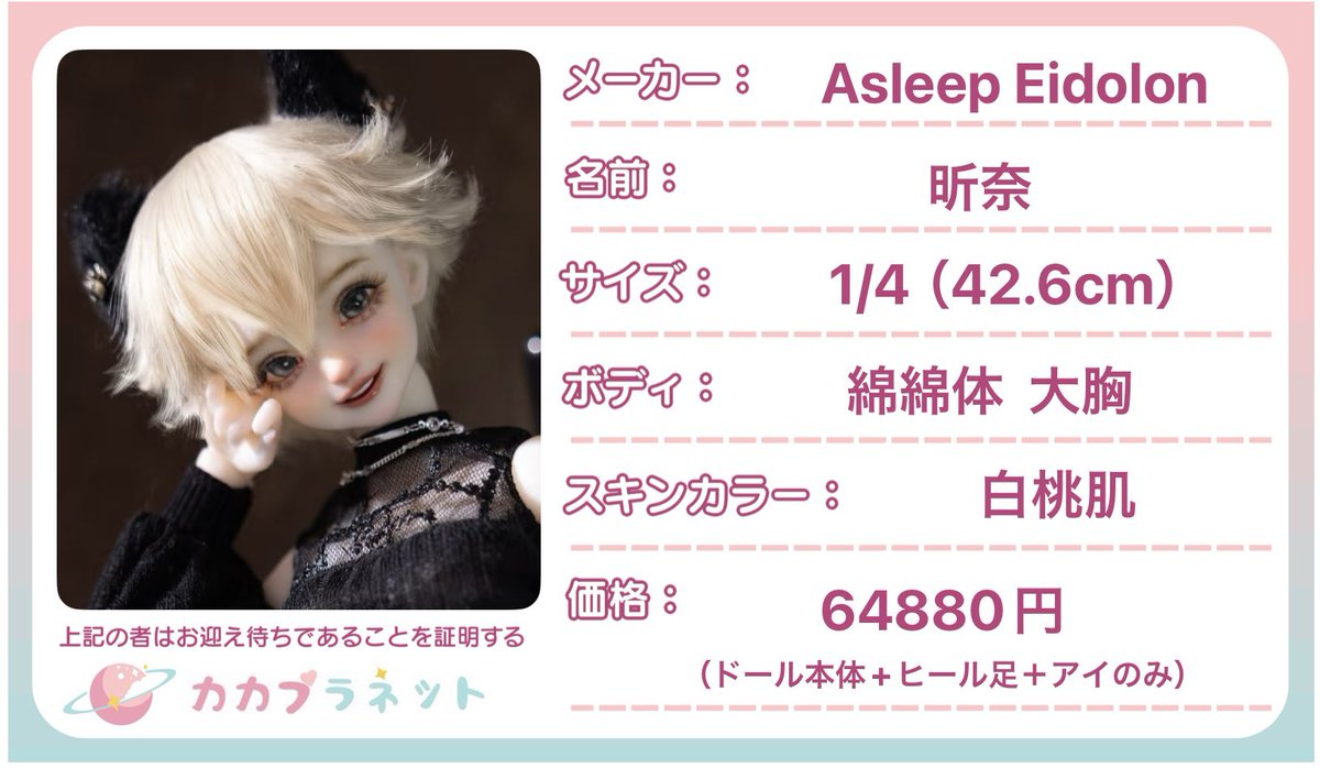 新入荷ドールのお知らせ🎶 💫メーカー：Asleep Eidolon 💫名前：昕奈