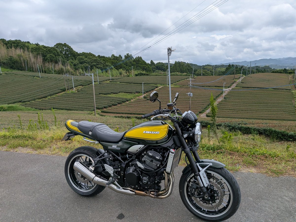 4m7dApLYxt0csCv's tweet photo. やっと念願の #シャカカリー
に来れた😂
スパイスが効いててめちゃくちゃ美味しい
ハンバーグも最高👍
ママさんは美人で明るく気さくに話しかけてくださって炎天下バイクの心配まで😂
メニューも沢山なのでまた行きます🍛
#GreenMonster🌱
さんの抹茶フラッペは抹茶が濃くてホント美味しい😋 https://t.co/zBjwjlvytp