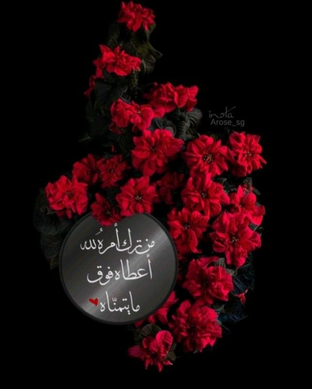 lyn6__'s tweet photo. أحيانا تفاجئنا الحياة بأشخاص لم نبحث عنهم ولم نعرفهم من قبل ثم يصبحون أجمل ما فيها... سلام على قلوب دخلت
حياتنا صدفه... فكانت نعمه لا تقدر بثمن https://t.co/Ox2fbLoG1b