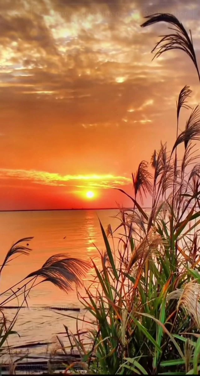 mimi_19742's tweet photo. "أكثر الصباحات عشقاً..
هي تلك التي تسرق
منّي حبّا..
وتمنحني ذاكرة
معطوبةَ النسيان..
كلما حاولت أن أنساك..
أيقظتني ملامح
وجهك القمحي بألف سؤال...؟" https://t.co/ckZzbGNg8j
