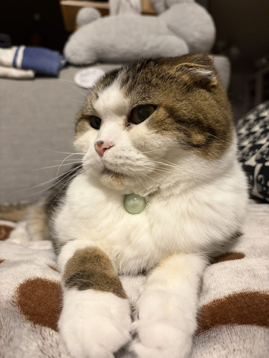 api00's tweet photo. おそにゃん。

本日の癒し https://t.co/lIqkUdJbiE