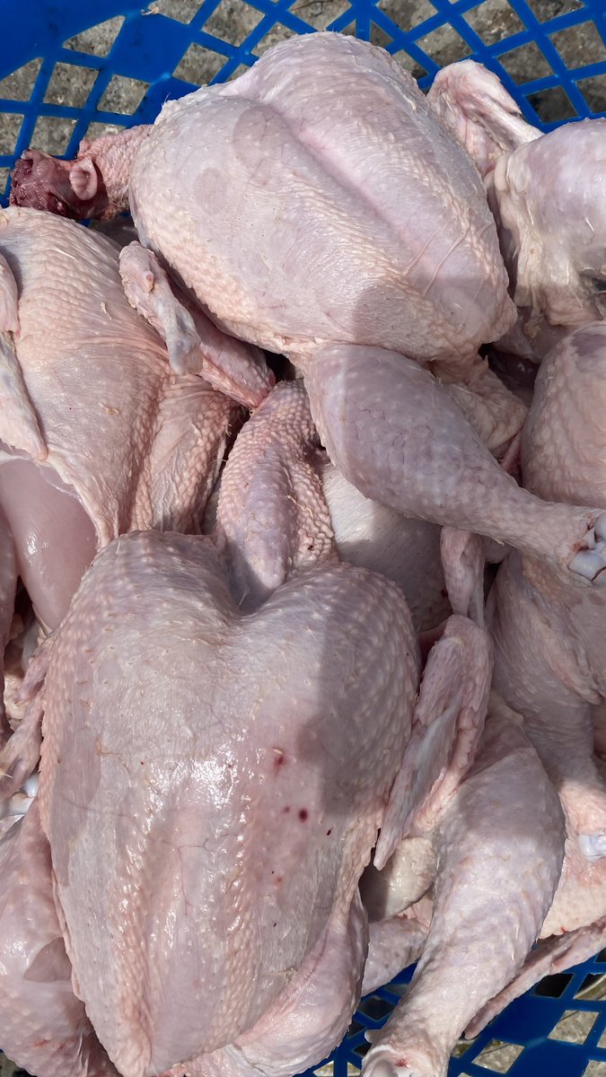 hafsat_dy's tweet photo. Bismillah, Assalamu alaikum tl, 

Price: 7500
Location: Bauchi. 
Please retweet and like ❤️ https://t.co/LXacMu8GGA