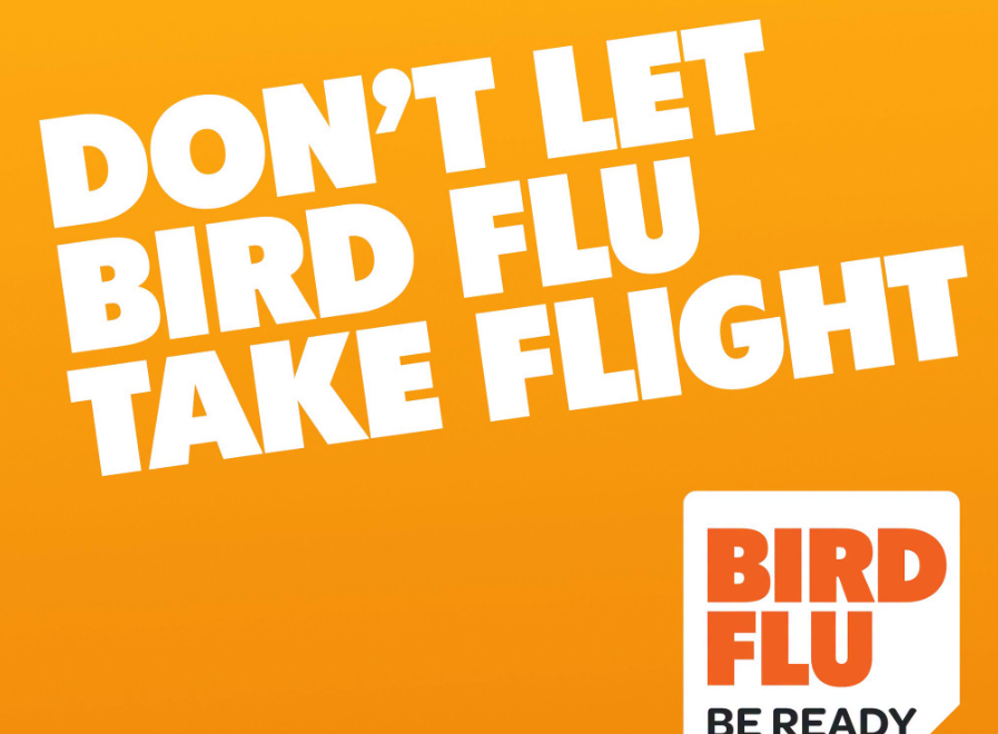 ScoopWellington's tweet photo. H5 bird flu found in seabird on Petone beach – first in NZ https://t.co/s0O52ryLHT https://t.co/etdC04WcLS