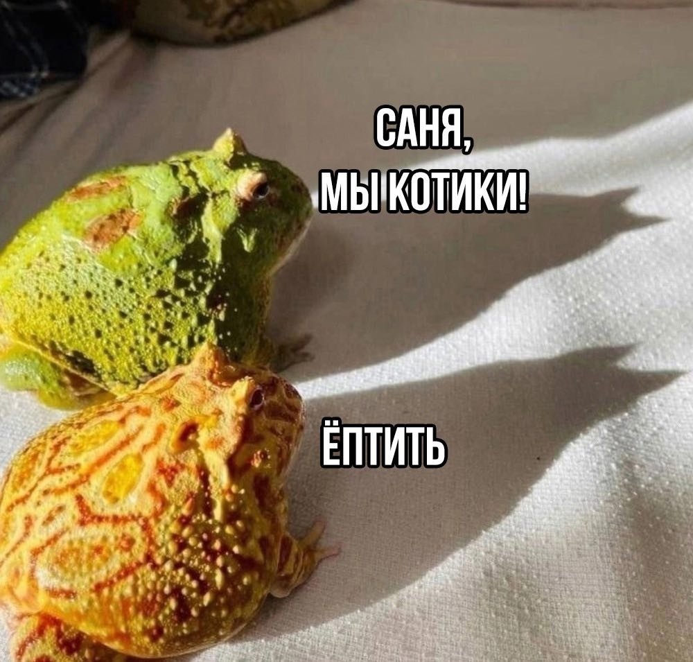 dragon__mother's tweet photo. Доброутра. https://t.co/C2P24qxirz