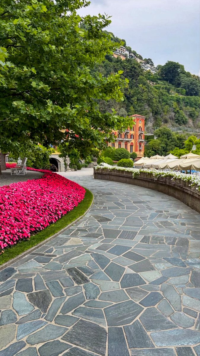 spring_cherry27's tweet photo. Kemarin ada yang minta dispillin penginapan kami selama di Como.
Aku mau mulai dari favoritku terlebih dahulu.

Lokasinya ada di tepi Lake Como, dibangun pada abad ke 16 dan dikelilingi taman seluas 10 ha.
Perpaduan design arsitektur bangunan, pemandangan sekeliling yang cantik, taman yang indah, pohon-pohon tua, air mancur dan patung klasik, bikin kita berasa tinggal di negeri dongeng.

Buat pecinta bunga sepertiku pasti betah karena banyak hamparan bunga di seluruh area penginapan.
Kalau ada rencana ke Lake Como, wajib nyoba nginep disini.

📍Villa d’Este