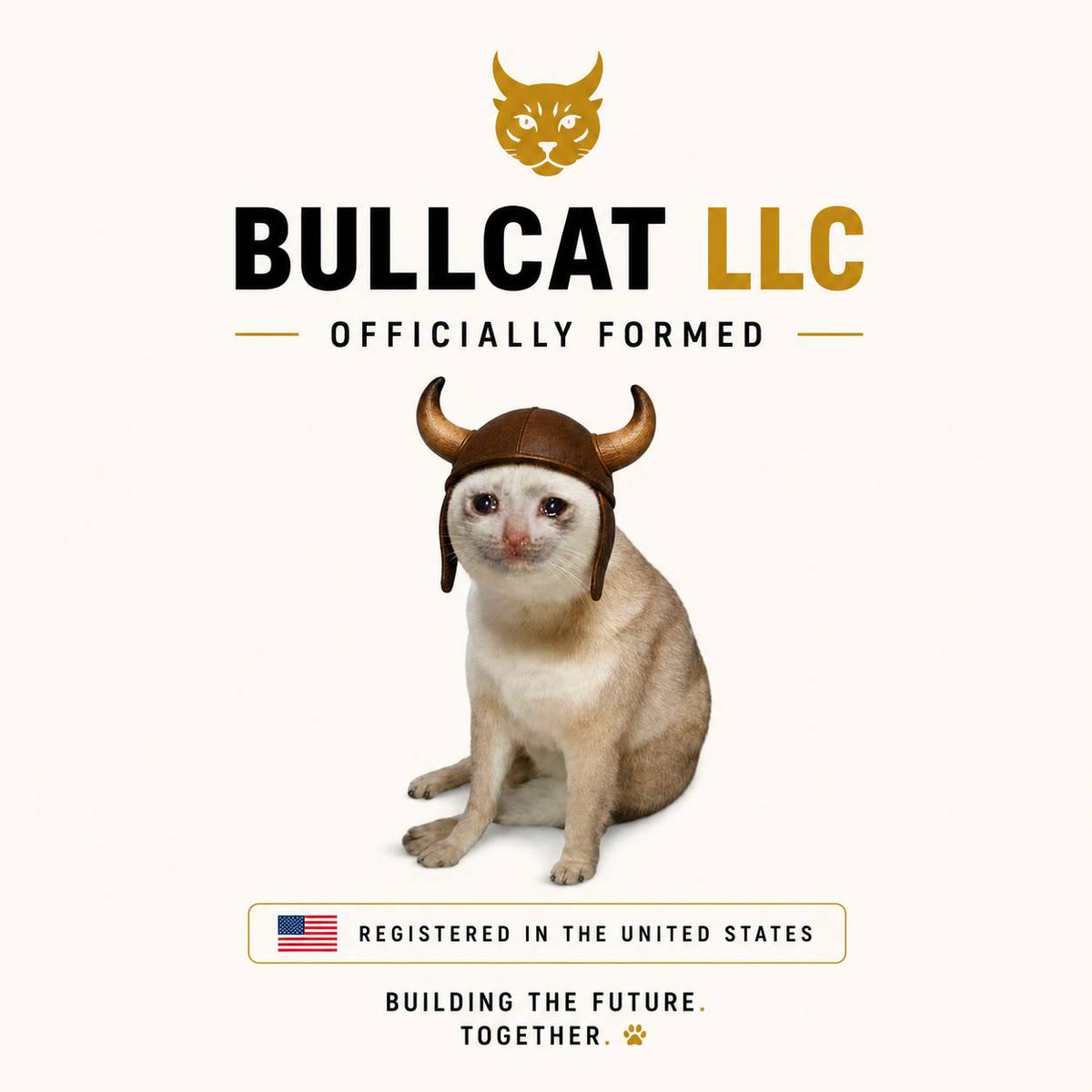 BULLCAT tweet media