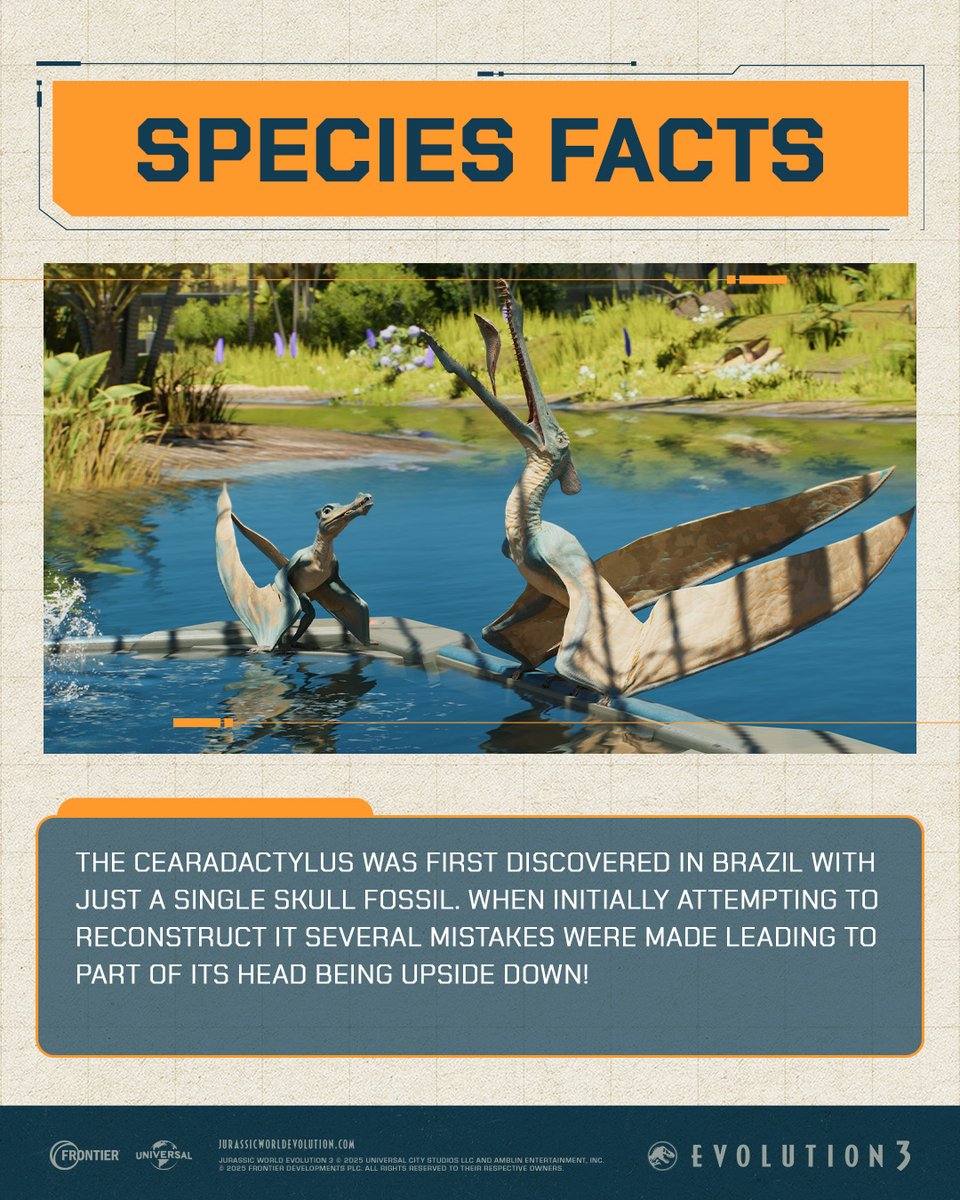JW_Evolution's tweet photo. Do you think Palaeontologists sometimes wish fossils came with instructions? https://t.co/BtetzAZ7aP