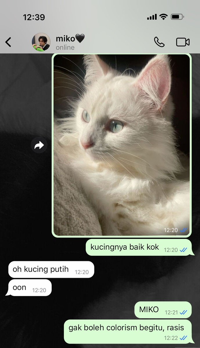 hanievol's tweet photo. "Kucing Posesif"

minchan ; one tweet au
from ; midnight sunshine https://t.co/tkS9Hjpmoz