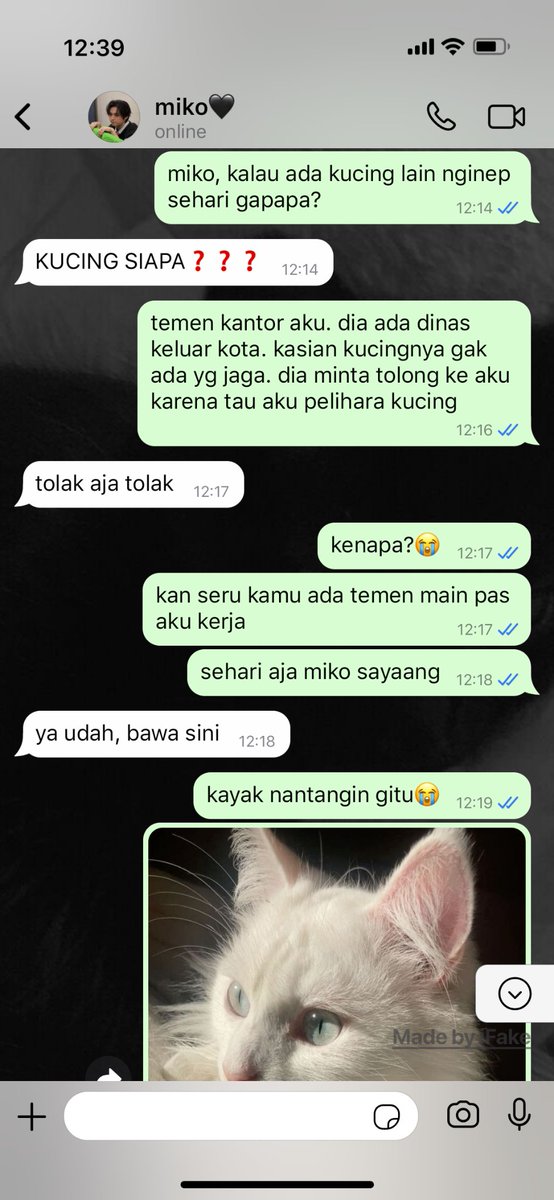 hanievol's tweet photo. "Kucing Posesif"

minchan ; one tweet au
from ; midnight sunshine https://t.co/tkS9Hjpmoz