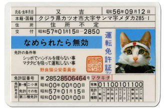 Zeeko__Sol's tweet photo. THIS CAT ID TEMPLATE HAS BECOME THE BIGGEST MEME THIS MORNING IN JAPAN!!   

This trend is now going viral af with many different users with Kittens posting their own IDs of their cats 🤣

https://t.co/fVlr7PwZX4

Its literally a KYC for cats

Know Your Cat https://t.co/SYnblrbZsY
