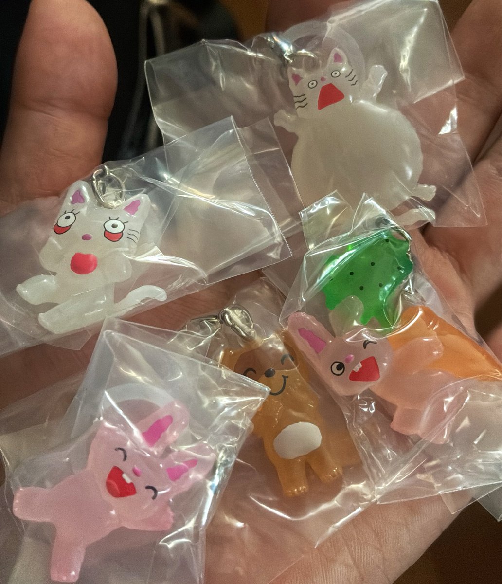 katadk3's tweet photo. かわいい🫶
揃ったけど、いくつか被った🥹

#めじるしアクセサリー
#のんたん https://t.co/YXgBU5tz6R