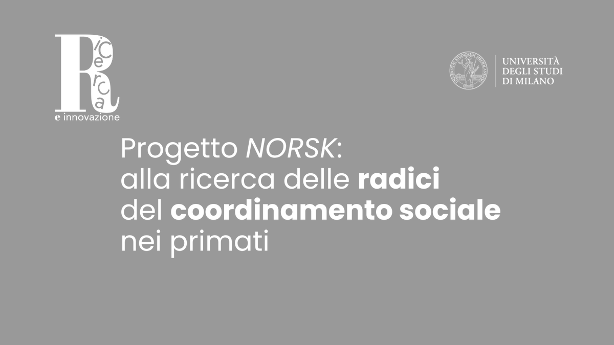 LaStatale's tweet photo. Mélissa Berthet, ricercatrice della Statale, ha lavorato con i bonobo nella Repubblica Democratica del Congo e ora porterà la sua esperienza nel progetto NORSK dell’Ateneo.
Leggi l'intervista https://t.co/lQpqhxnCAH https://t.co/7fORsvoCDQ