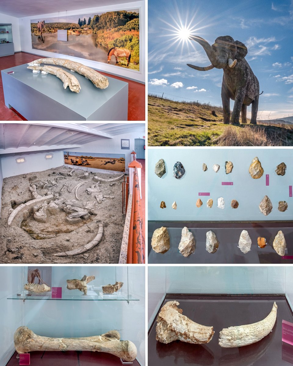 sorianitelaimag's tweet photo. Museo de AMBRONA (SORIA)-ESPAÑA: uno de los grandes escenarios de la Prehistoria europea.
Uno de los yacimientos arqueológicos y paleontológicos más relevantes del continente Europeo.

Fotografía: Conrado Ángel https://t.co/y7sggQyfqt