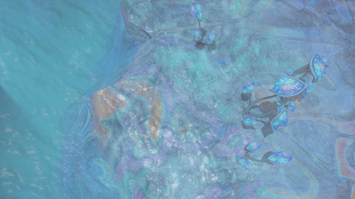 volte_ff14's tweet photo. 𝐺𝑜𝑜𝑑 𝑚𝑜𝑟𝑛𝑖𝑛𝑔 
#FF14風景 #FF14SS https://t.co/CCYOQWoWu1