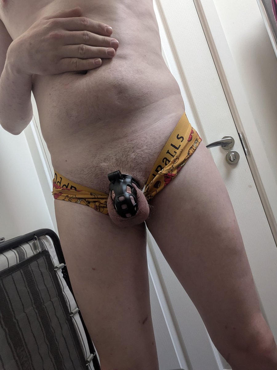 DiaperedHam's tweet photo. This morning's cage check 🔒 https://t.co/emaTykRlNl