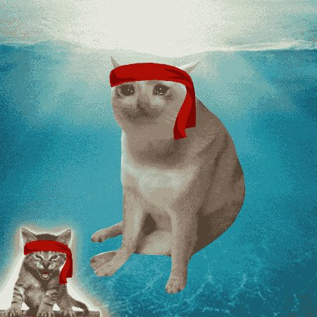 cashcatss's tweet photo. Giveaway! 10x free Cashcats!!

>visit the builder website
>create your own cashcat
>post and tag @cashcatss
>rt and drop your wallet below

winners picked in 12 hours! https://t.co/7EQr68uEU4