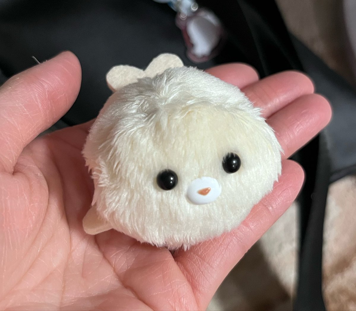 gmavstar's tweet photo. @BdlIcasさんの🦭
商品を購入しました☺️✨
わんぱく✨
毛は安定のぱやぱやで
かわいい〜☺️✨ https://t.co/rniHCZln1B