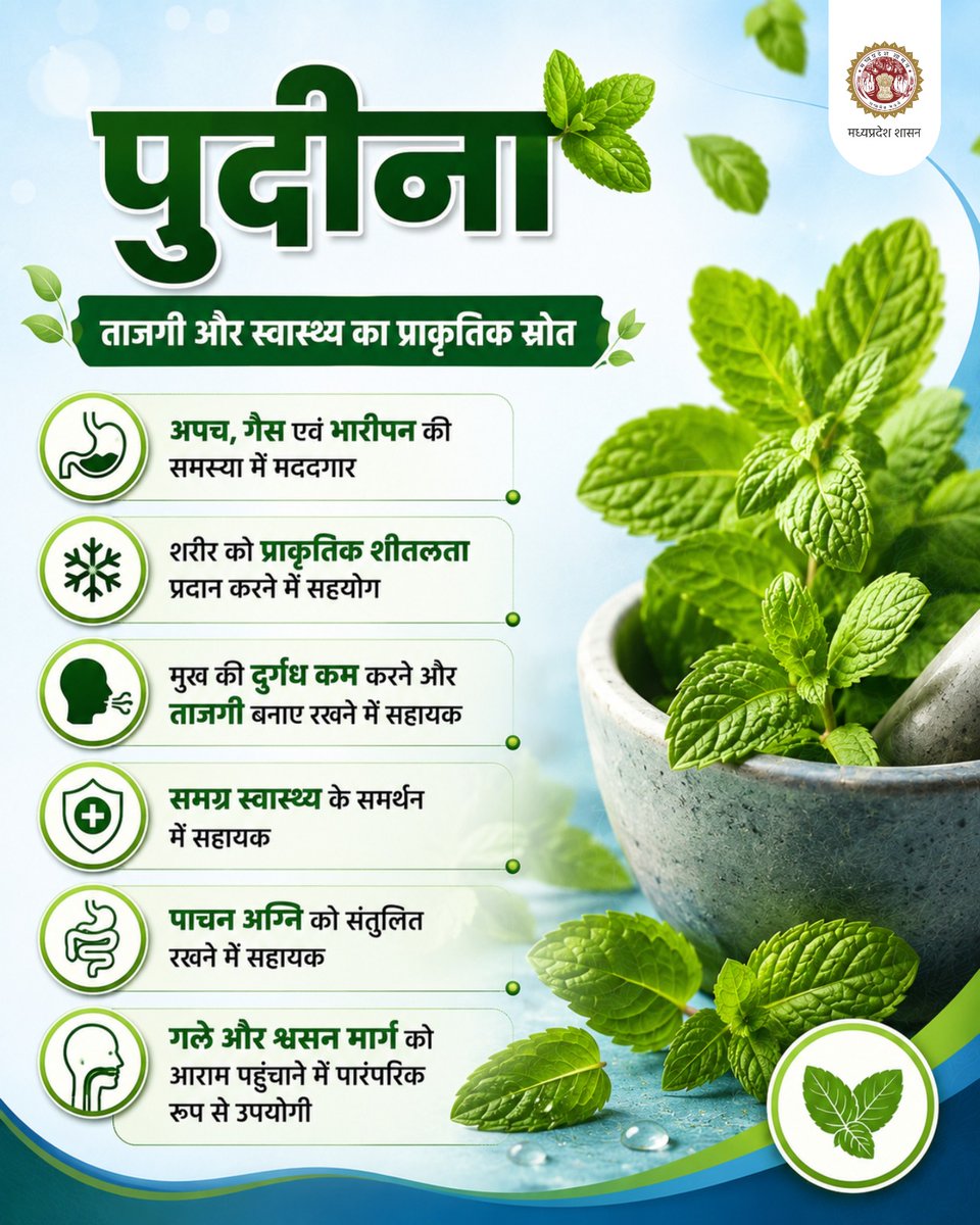 ayush_mp's tweet photo. पुदीना आयुर्वेद में पाचन को सहयोग, प्राकृतिक शीतलता, ताजगी और श्वसन स्वास्थ्य के समर्थन के लिए जाना जाता है। संतुलित आहार के साथ इसका सेवन समग्र स्वास्थ्य को सहयोग दे सकता है।
#AYUSHMP #Ayurveda #Mint #HealthyLiving #Wellness https://t.co/poLxZ41vMm